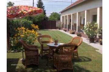 Унгария Privát Kiskunmajsa, Екстериор